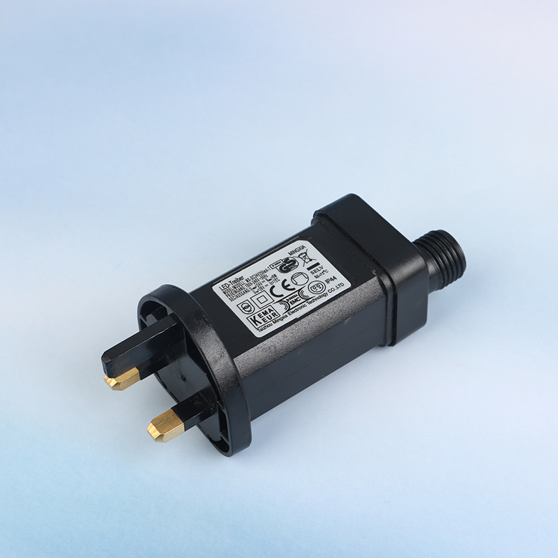 AC 220 V Naar 24 V/31 V DC 6 W - Candle Making Supplies Uk recensie en prijs